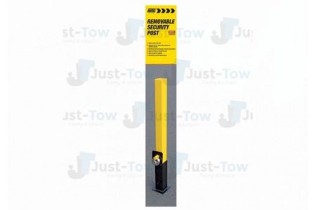 Removable Security Post